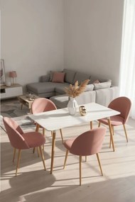 Pack 4 Cadeiras Vint Veludo - Rosa