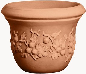 Vaso Uva Spina