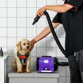Secador de Pelo para Cães 3KW Secador de Pelo para Animais de Estimação com Temperatura e Velocidade Ajustável 40x16x20cm Roxo