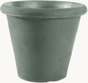 Vaso Camelia