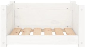 Cama para cães 55,5x45,5x28 cm madeira de pinho maciça branco