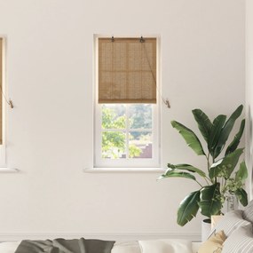 vidaXL Persianas e Sombras de Janela Marrom Claro 60 x 220 cm Bambu