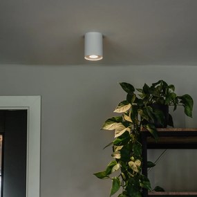 Foco de teto moderno branco inclinável e rotativo - Rondoo up