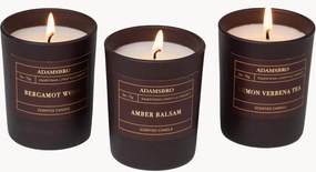 Velas perfumadas Adamsbro (madeira de bergamota, âmbar, verbena de limão), conjunto de 3