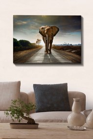 Pintura Decorativa em Tela 60414424 – Multicolor – 70 x 100 cm
