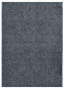 340308 vidaXL Tapete de pelo curto 140x200 cm antracite