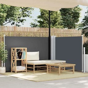 vidaXL Toldo lateral retrátil 120x600 cm antracite
