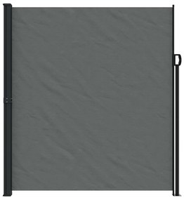 Toldo lateral retrátil 220x500 cm antracite