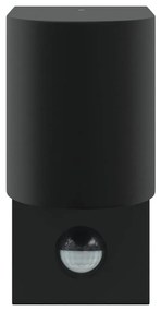 Luzes de Parede Externas com Sensor 2 pcs Preto Aço Inoxidável IP44