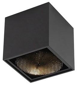 Design spot black - Box Honey Design
