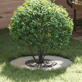 vidaXL Anel para árvores plano Ø30/60 cm em aço galvanizado