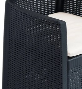 Conj. jantar p/ exterior 5 pcs plástico antracite aspeto vime
