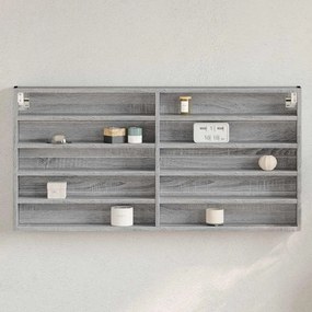 vidaXL Armário vitrine 100x8,5x50 cm derivados de madeira cinza sonoma