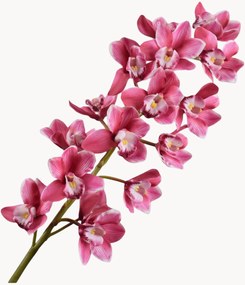 Flores artificiais Cymbidium, conjunto de 2