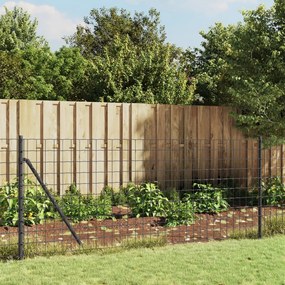 Cerca de malha de arame 0,8x25 m aço galvanizado antracite