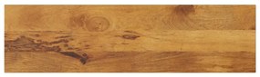 vidaXL Tampo de mesa retangular 120x20x2,5 cm mangueira maciça