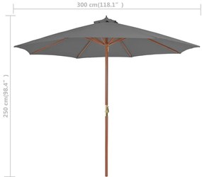 Guarda-sol de exterior com mastro de madeira 300 cm antracite