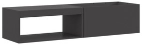 Fogueira vidaXL com Armazenamento de Lenha Preto 160x45x35 cm Aço