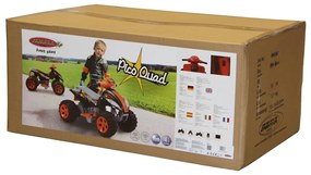 Moto 4 elétrica infantil bateria 6V Quad Pico