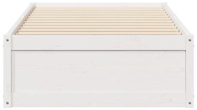Cama sem colchão 75x190 cm madeira de pinho maciça branco