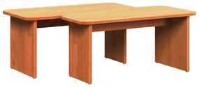 Mesa de centro 2 pcs Castanho-mel 100 x 69 x 35.5 cm