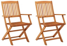 vidaXL Cadeiras de jardim dobráveis 2 pcs eucalipto maciço