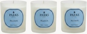 Velas perfumadas artesanais Vintage Aromatherapy (jacinto, flores verdes, almíscar branco), conjunto de 3