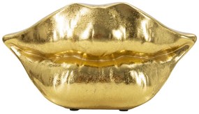 VASO BOCA LÁBIO CM 23X8X12