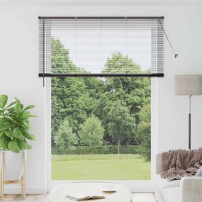 Persiana de Janela com cortinas Outros Manual Preto 155 x 220 cm Alumí