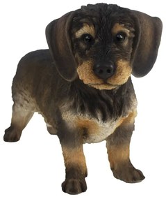 Esschert Design Dachshund pelo de arame 50x15x27,8 cm