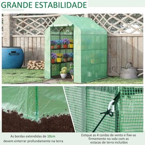 Estufa de Jardim com Prateleiras