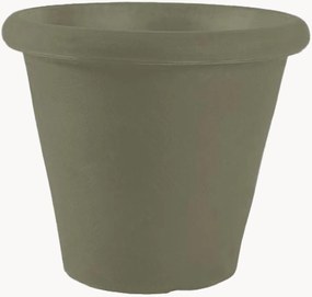 Vaso Camelia