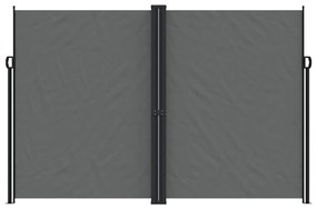 Toldo lateral retrátil 220x1000 cm antracite