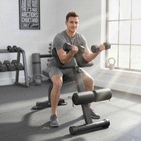 Banco de musculação dobrável com altura e inclinação ajustáveis para treino de costas e braços, 96,6 x 68 x 69-110 cm, preto