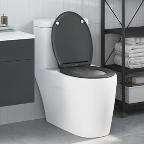 assa lança Rápida de vaso sanitário com fechamento suave Duroplast Antracite