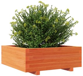 Vaso/floreira de jardim 70x70x26,5 cm pinho maciço castanho-mel
