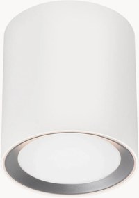 Candeeiro de teto LED regulável Landon
