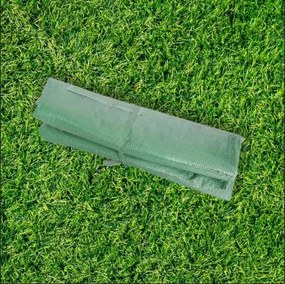 Cobertura de Estufa com 6 Janelas e Porta para Jardim Anti-UV e Anti-envelhecimento PE 300x200x200 cm Verde