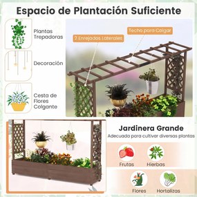 Floreira com Treliça para Plantas Trepadoras, 200 x 44 x 114 cm, Base Removível, Castanho