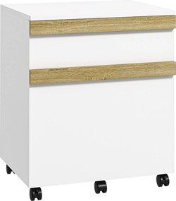 Vinsetto Arquivador de Escritório com Rodas com 2 Gavetas Deslizantes Organizador de Pastas 48x40x59,5 cm Branco | Aosom Portugal