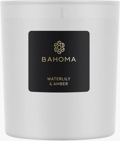 Vela perfumada Waterlily & Amber (bergamota, notas verdes aquáticas, pera fresca)