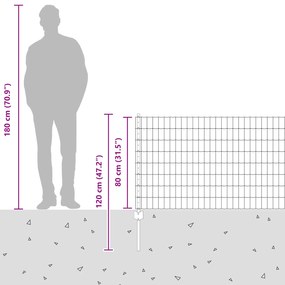 Cerca Europeia com 5 Postes U Verde 0.8x10 m Aço