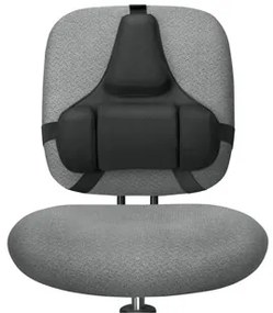 Apoio Lombar Ergonomico Profissional Fellowes