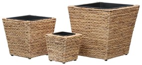 Vasos/floreiras 3 pcs jacinto de água