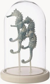 Objeto decorativo Seahorses