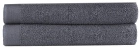 vidaXL Conjunto toalhas banho 2 pcs algodão 450 g 100x150 cm antracite