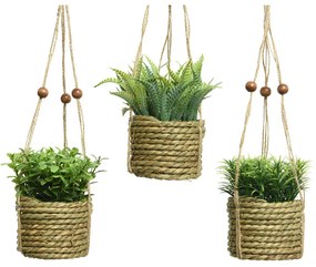 Planta Decorativa Everlands 8 X 12 cm Colar Corda Pvc