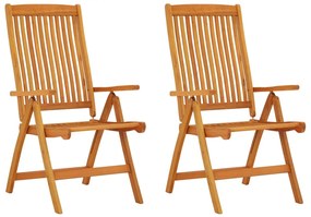 vidaXL Cadeiras de jardim dobráveis 2 pcs madeira de eucalipto maciça