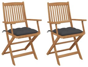 vidaXL Cadeiras de jardim dobráveis c/ almofadões 2 pcs acácia maciça