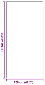 Capacho Retangular vidaXL Castanho 120x250 cm
